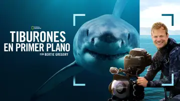 Backdrop to the movie "Sharks Up Close with Bertie Gregory" #793006