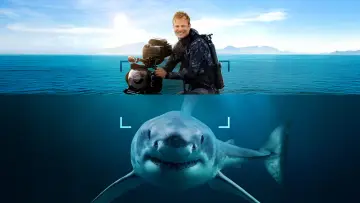 Backdrop to the movie "Sharks Up Close with Bertie Gregory" #793027