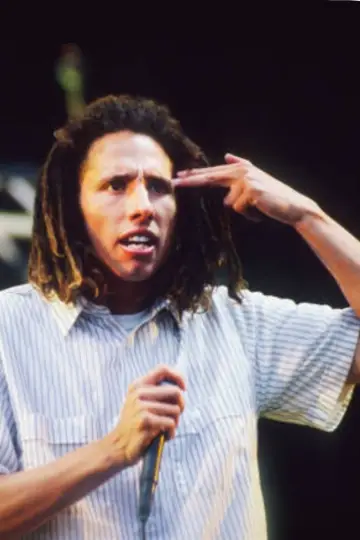 Rage Against The Machine - Live at Pinkpop Festival 1994 Poster