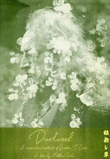 Poster to the movie "Duckweed" #879152