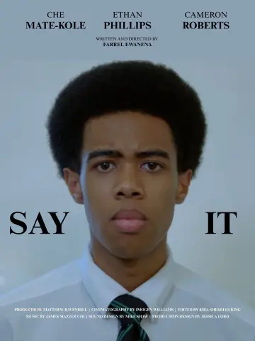 Poster to the movie "Say It" #1635119