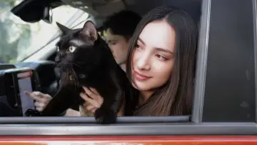 Devil Black Cat Poster