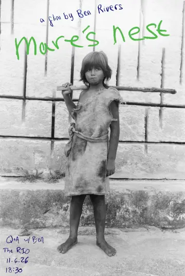 Poster to the movie "Mare