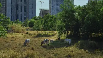 Backdrop to the movie "Promised Spaces" #1623486