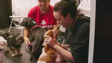 Backdrop to the movie "Billie Eilish - Hit Me Hard and Soft: The Tour (Live in 3D)" #816337