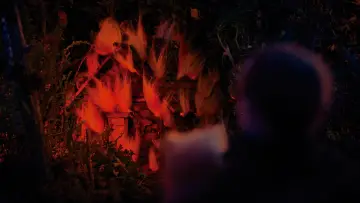 Backdrop to the movie "Sorrow Doesn