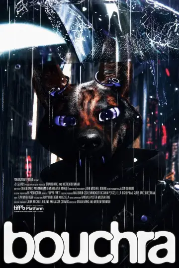 Poster to the movie "Bouchra" #1618290
