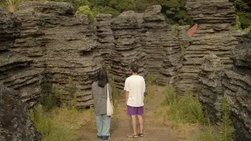 Backdrop to the movie "Saikai Paradise" #1649654
