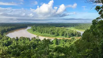 Backdrop to the movie "Orang Utans - Keepers of the Jungle" #922240