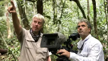 Backdrop to the movie "Orang Utans - Keepers of the Jungle" #922242