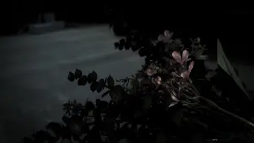 Backdrop to the movie "The Flower" #1802757