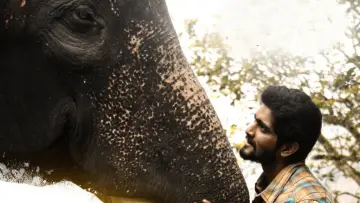 Backdrop to the movie "Kumki 2" #1296270