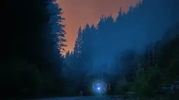 Backdrop to the movie "Forest" #1583768