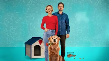 Backdrop to the movie "Love Is a Dog
