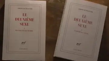 Backdrop to the movie "Le deuxième sexe : Sur les traces de Simone de Beauvoir" #1172345