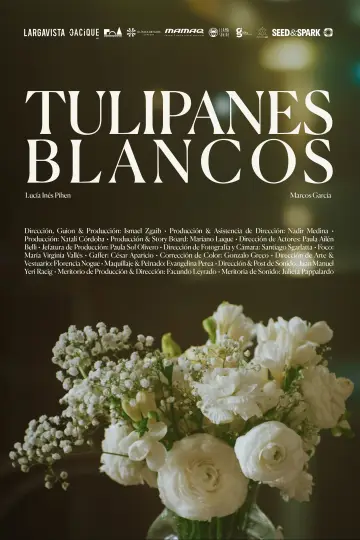 White tulips Poster
