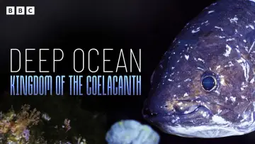 Backdrop to the movie "Deep Ocean: Kingdom of the Coelacanth" #933661