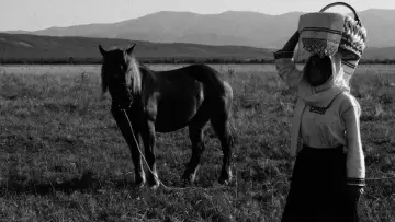 Backdrop to the movie "Doina" #1144774
