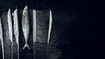 Backdrop to the movie "Turn of the Tide: The Surreal Story of Rabo de Peixe" #693630