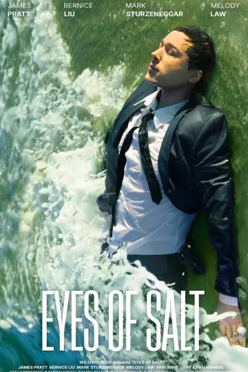 Eyes of Salt Poster