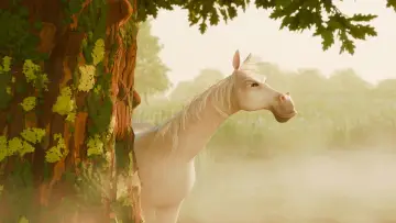 Backdrop to the movie "Dominykas the Horse