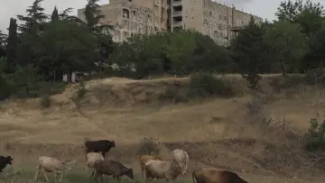 Backdrop to the movie "The Kartli Kingdom" #1510126