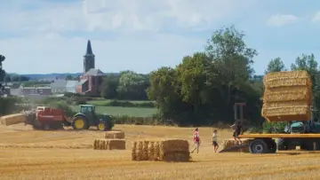 Un été à la ferme - L'âge d'or Poster