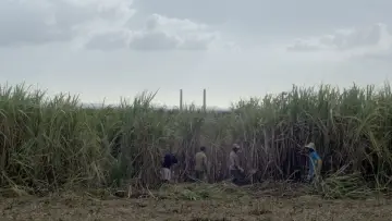Backdrop to the movie "Far Away" #936787