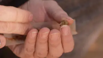 Backdrop to the movie "Cannabis, un paradoxe français" #1589727