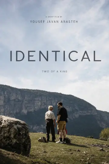 Poster to the movie "Identical" #1575557
