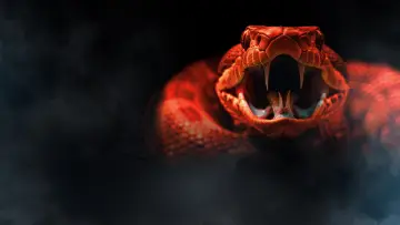 Backdrop to the movie "One Big Snake" #1159178