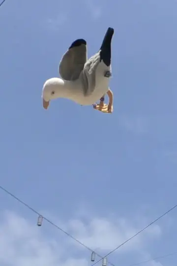 Double Jump
