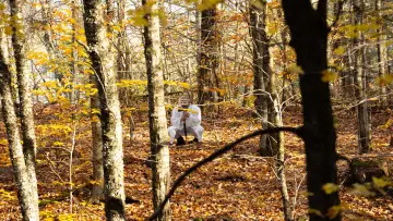 Backdrop to the movie "The Hiker Hunter" #824388