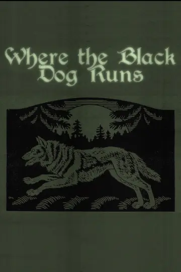 Poster to the movie "Where the Black Dog Runs" #821444