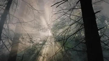 Backdrop to the movie "The Lone Piper" #1746430