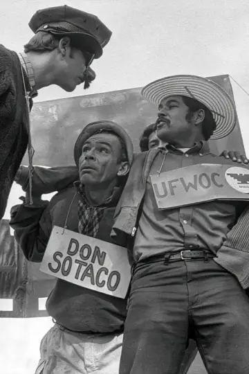 Poster to the movie "American Pachuco: The Legend of Luis Valdez" #544117
