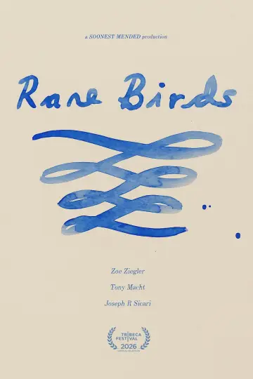 Rare Birds Poster