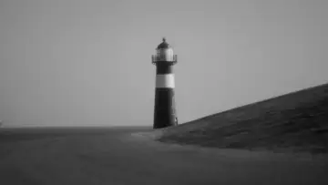 Backdrop to the movie "The Albatross" #544064