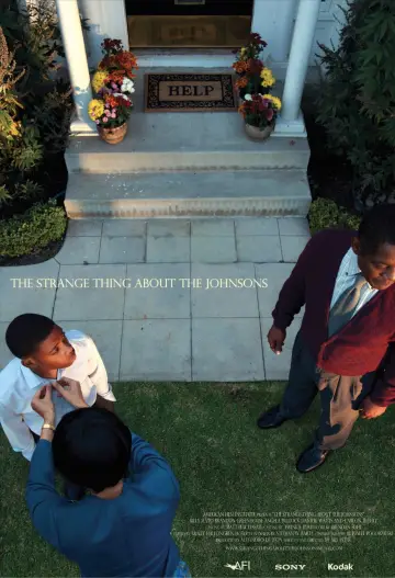 Poster to the movie "The Strange Thing About the Johnsons" #1203100