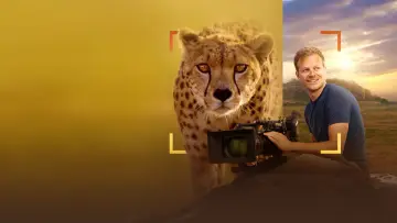 Backdrop to the movie "Cheetahs Up Close with Bertie Gregory" #539390