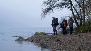 Backdrop to the movie "Wild" #1756780