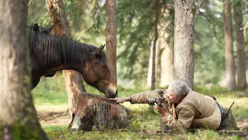 Backdrop to the movie "Wild Horses, the Rockies and Me" #659276