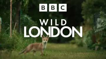 Backdrop to the movie "Wild London" #540338