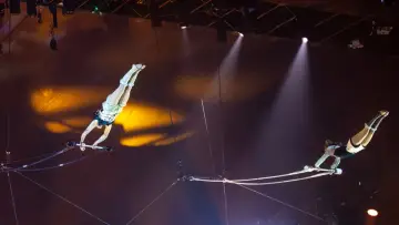 Backdrop to the movie "44e Festival mondial du Cirque de Demain" #1767052