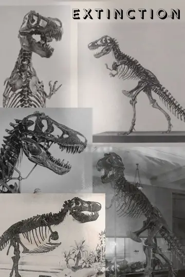 Poster to the movie "Extinction" #1147749