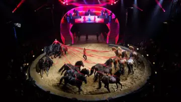 Backdrop to the movie "Les Folies Gruss, 50 ans à Paris" #542520