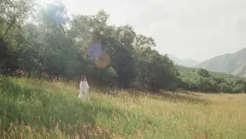Backdrop to the movie "The Meadow" #773631