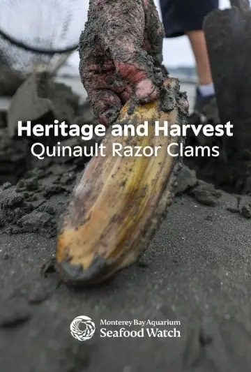 Poster to the movie "Heritage and Harvest: Quinault Razor Clams" #803440