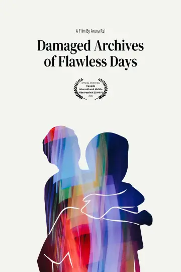 Damaged Archives of Flawless Days