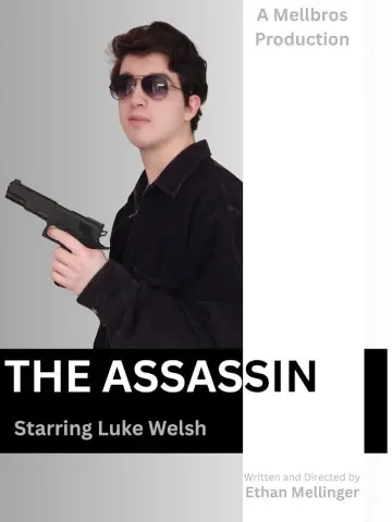 Poster to the movie "The Assassin" #1187219